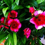 つれづれげえ日記