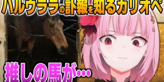 【ホロEN】ハルウララの訃報を知って居ても立ってもいられないカリオペ