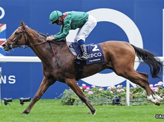 【競馬予想】[1]第45回ジャパンカップ(GⅠ) /2025