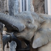 砥夢くんに会いに行ってきた2025