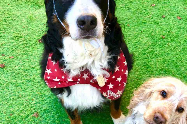 ウチのナマモノ 19年11月 ウチのナマモノ 19年11月