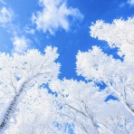 　日経225先物のﾁｬｰﾄを見極めて簡単に勝てる方法 　 　開始1時間が勝負！