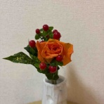 ひろこのひとりごと