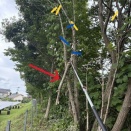 FIRE９年目の夏が充実してきた！！木こりで売上回復