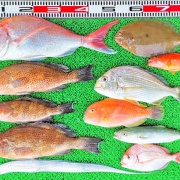 2026年7月18日　釣果