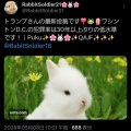 トランプ大統領のTruth Social 投稿集 ~ 2026 5/6 -8