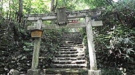 さい銭を盗もうとしたら箱が空っぽだったので逆上、神社に放火して全焼させた４８歳無職男を逮捕
