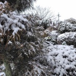 京都❤山里に暮らす