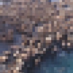 無数のトドが無人島を埋め尽くす異常事態発生 マジでヤバい光景がこちらｗｗｗｗｗ