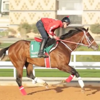 ☆うまなみ・競馬にゅーす速報