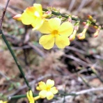 京都❤山里に暮らす