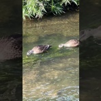 カーコとダンナのお出かけ写真