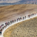 サイクルロードレース観戦ガイド2026～クラシックレース編～