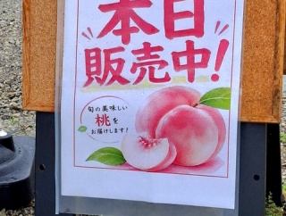 小林桃農園　香川間丸亀市