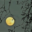 月にこそ　むかしの事は　おぼえけれ　我をわするる 人にみせばや