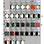 明るい気持ちで、恐れる、畏れる、ことは大切