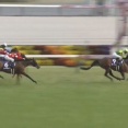 【競馬】高松宮記念はルメール騎乗のサトノレーヴが連覇達成