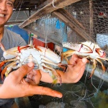 『ホントに隠れてるインドネシアのシーフードレストラン、RM. Alim』の画像