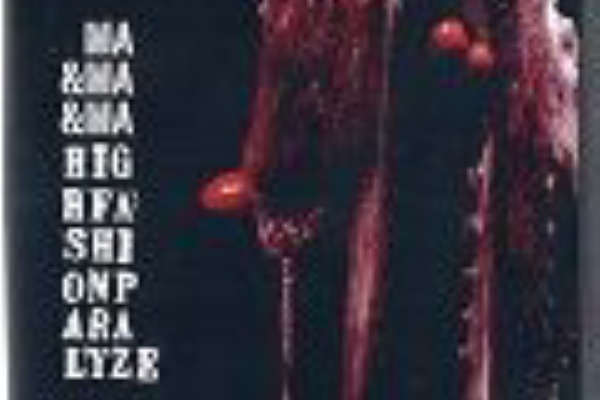 CD HIGH FASHION PARALYZE 通販限定CD MA&MA&MA