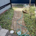 深川に住んで! StageⅡ