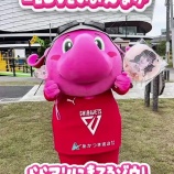 『[イコラブ] 千葉ジェッツのジャンボくんは、花菜ちゃん推し！？』の画像