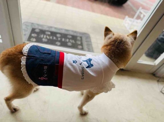 我が家にある一番古い物