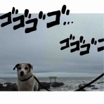 アボちゃんのアボカドブログ