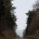 2021.03.12 晩節の国鉄車を追って <018> 横磯駅