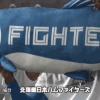 しゃけまるで遊ぶアルカンタラと今川ｗｗｗｗｗｗｗｗ