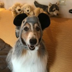 ラルのお気楽日記