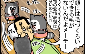 愛に目覚めて毛づくろいしたがる猫