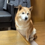 賃貸管理クレーム日記