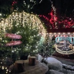 だぶるでじっと