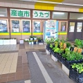 なら弁　香川県　🏖️｢A LONG VACATION 大瀧詠一｣ あの初夏の懐かしい記憶