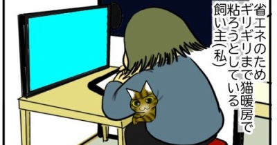 【猫との暮らし】猫暖房で行こう！