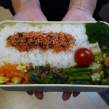 『2023/6/9のパートナーの相棒のボリューミーお弁当 【#お弁当】【1892個目】』の画像