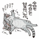 ハナザメ、現る