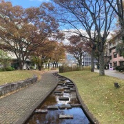 ʤΤ٤ơɲؤ˹դ򸫤˹Ԥä