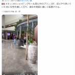 【疑問】この事故、どっちが悪い？
