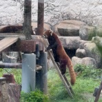 日々のくらし手帖