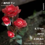 ぱっぽとにゃんの仲良しブログ♡♡♡