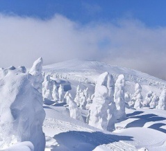 海外「日本の自然は凄いな」世界で最も積雪量が多い国は日本であると紹介した動画を見た海外の反応