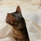 毎日、かわいいを見せつけてくるぼくちん♡