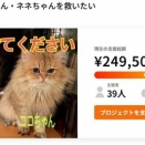 クラウトファインディングあと4日！