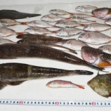 『国東の食環境（98）』の画像