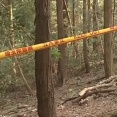 行方不明の91歳女性、山林で遺体発見　ベトナム国籍の男（３３）が殺害ほのめかす　埼玉（動画あり）
