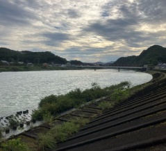 8/13 長良川の様子