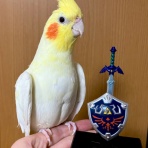 マルといっしょ