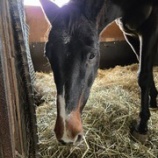 『穏やか』の画像