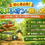 レオパパの爬虫類ログ